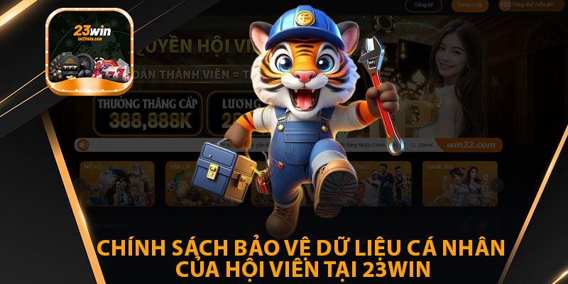 Chính Sách Bảo Vệ Dữ Liệu Cá Nhân Của Hội Viên Tại 23win