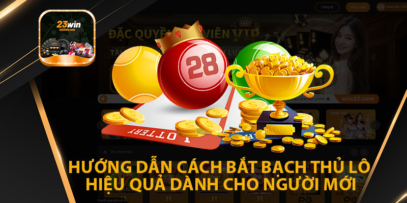 Hướng Dẫn Cách Bắt Bạch Thủ Lô Hiệu Quả Dành Cho Người Mới