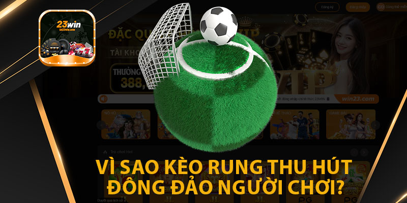 Vì Sao Kèo Rung Thu Hút Đông Đảo Người Chơi?